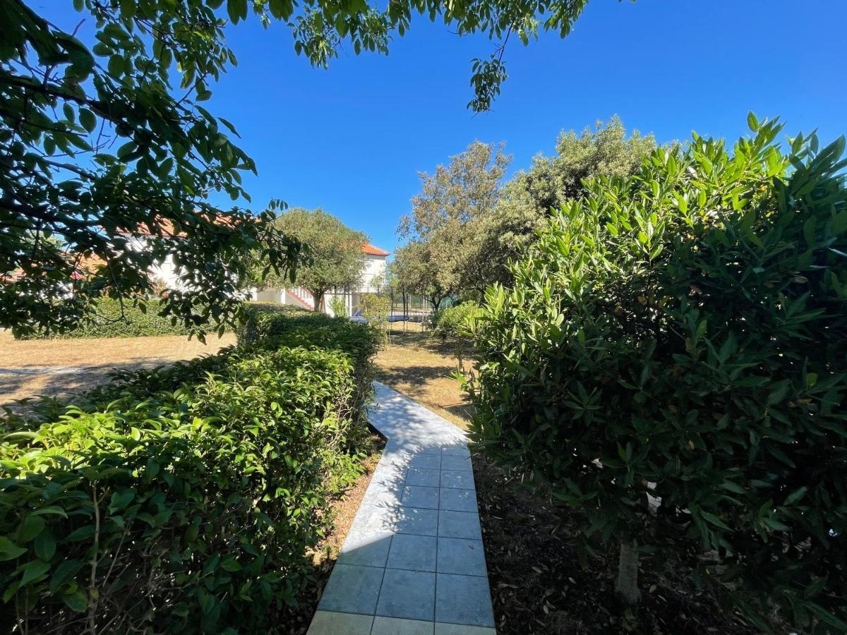 Apartma Ante Apartment Zaton  Bagian luar foto